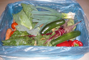 organic vegetable box